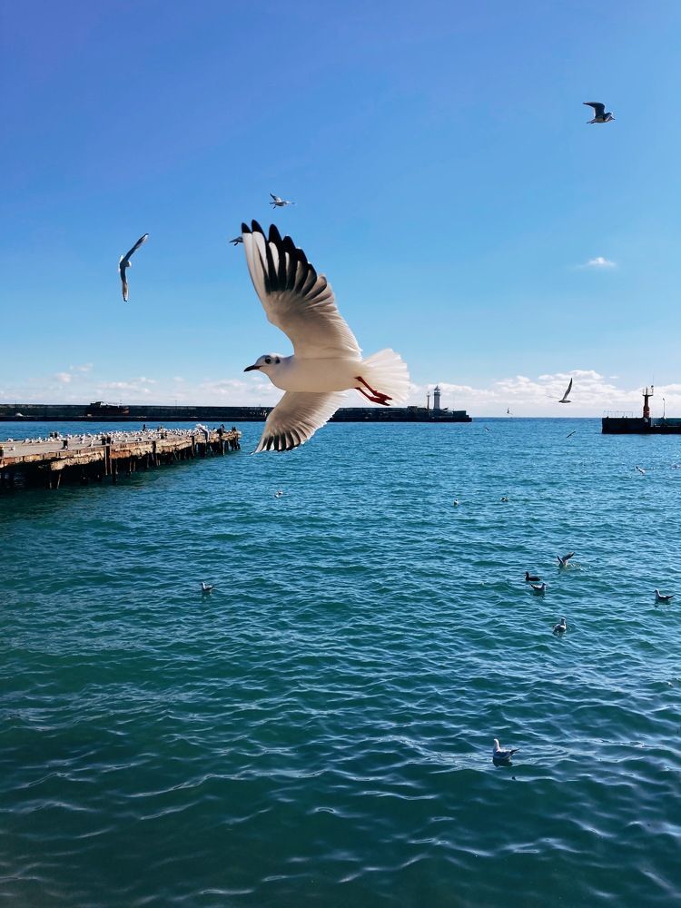 Photograph by Евгения Шубенкова