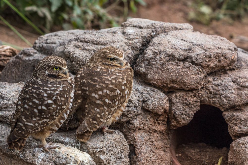 Photograph by Елена Сергеев