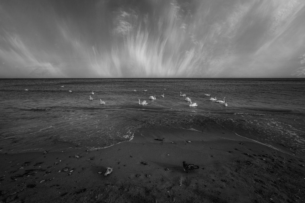 Photograph by Владимир Гамаюнов