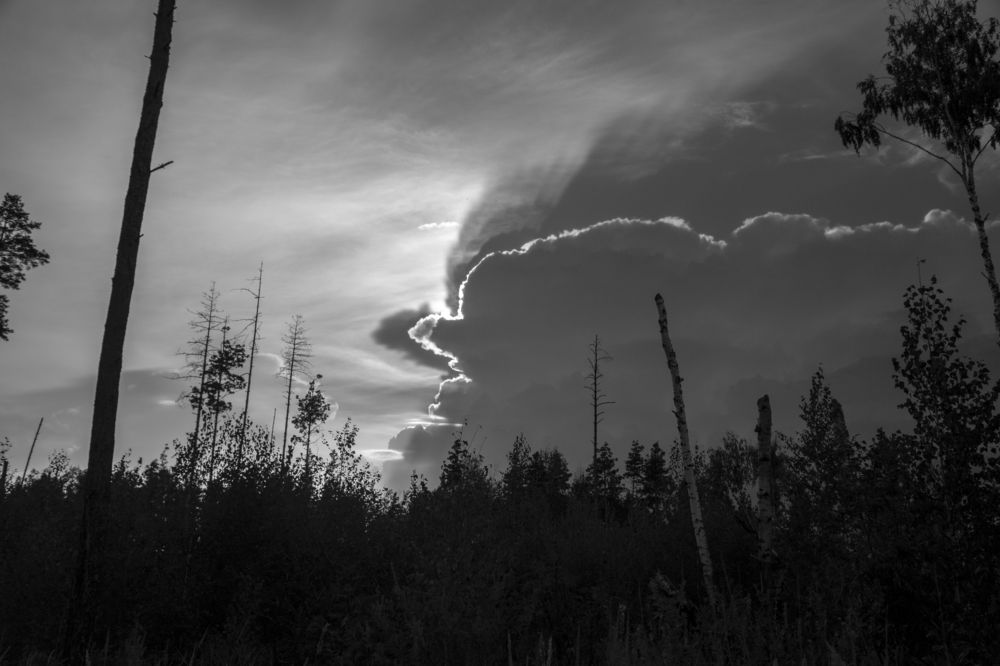 Photograph by Почечуй Андрей