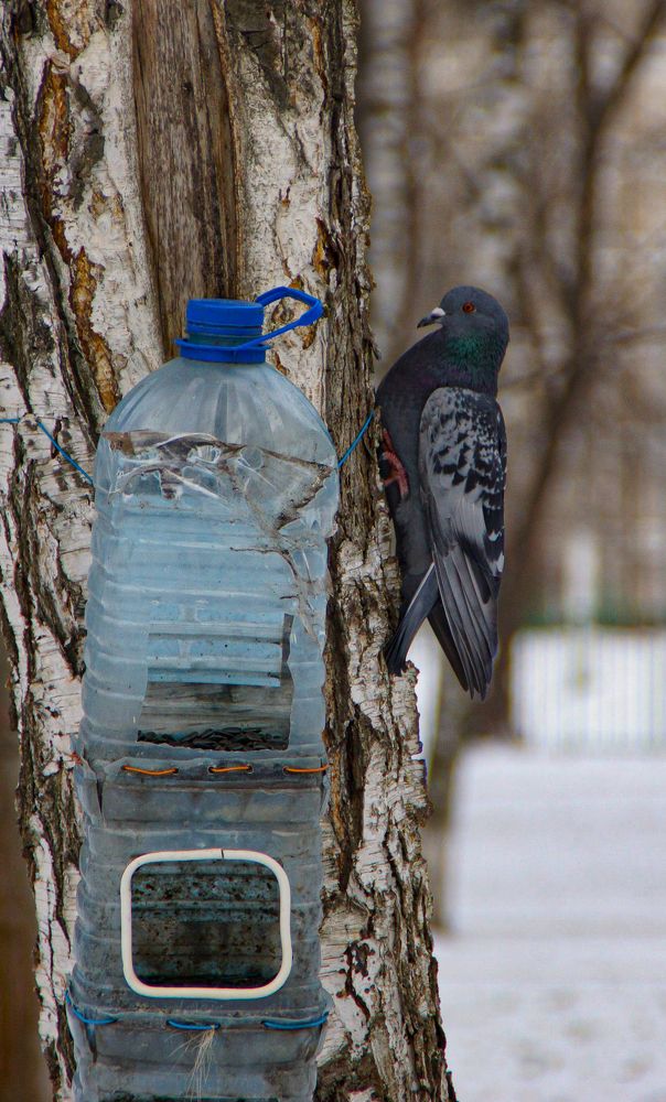 Photograph by Алексей Шевкунов