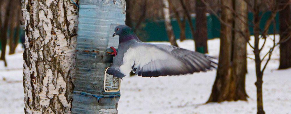 Photograph by Алексей Шевкунов