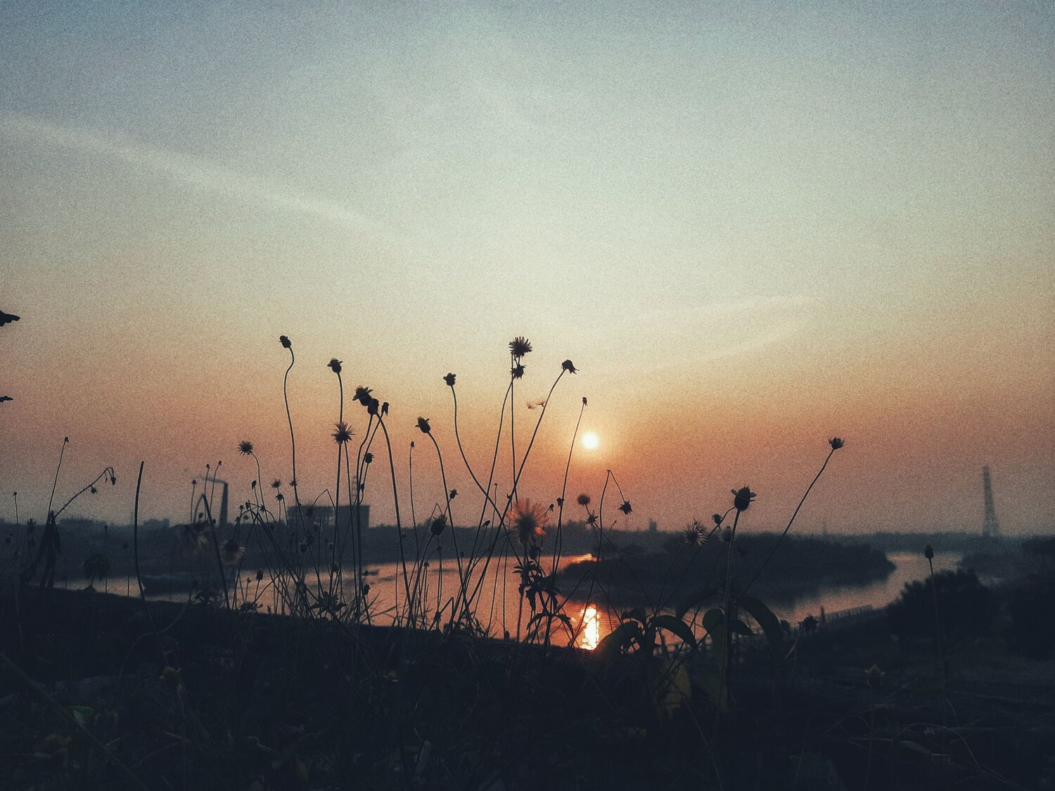 Lonely sunset