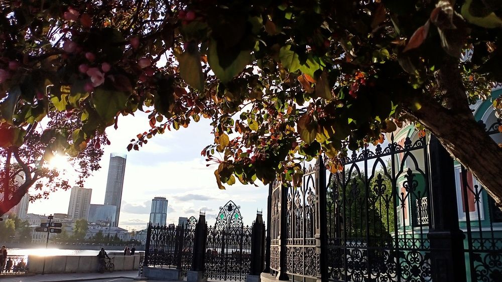 Взгляд в будущее