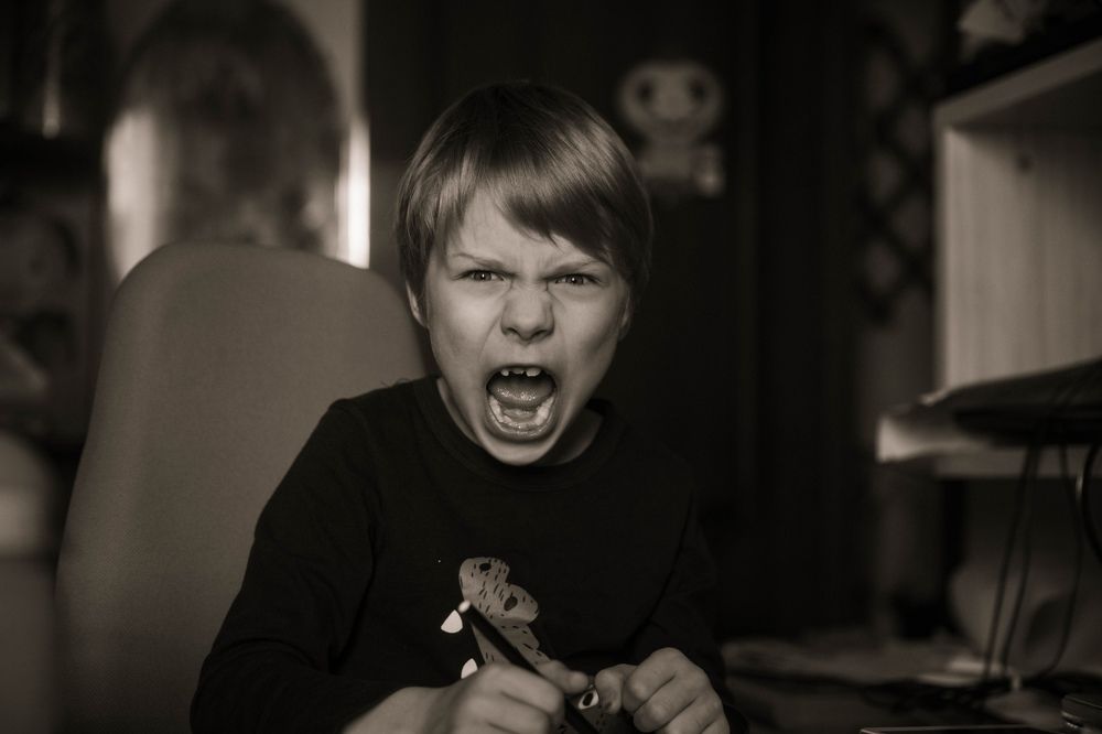 Photograph by Елена Румянцева