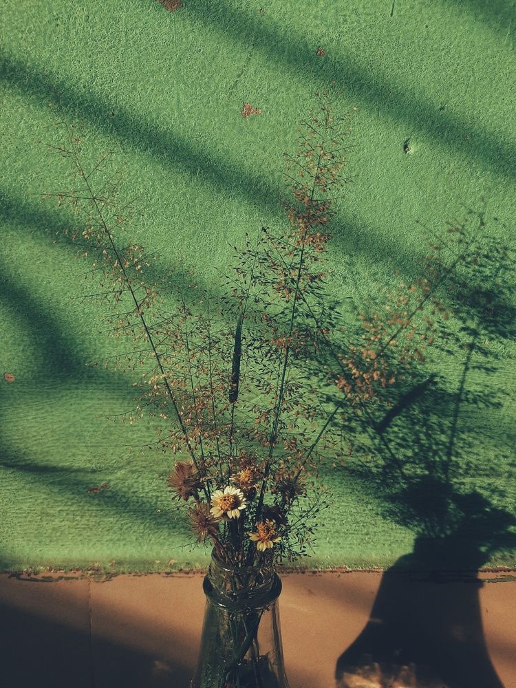 Photograph by sabrina momtaz