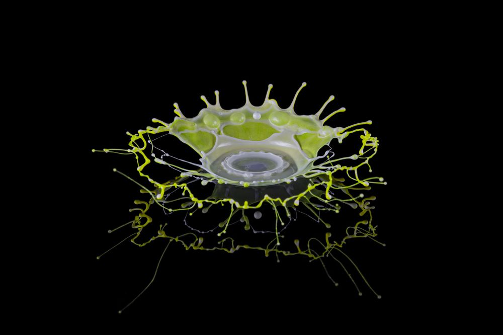 Photograph by Сергей Чупахин