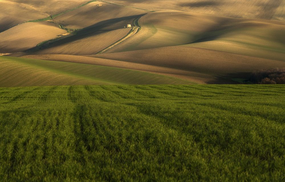 Photograph by giuseppe perrotta