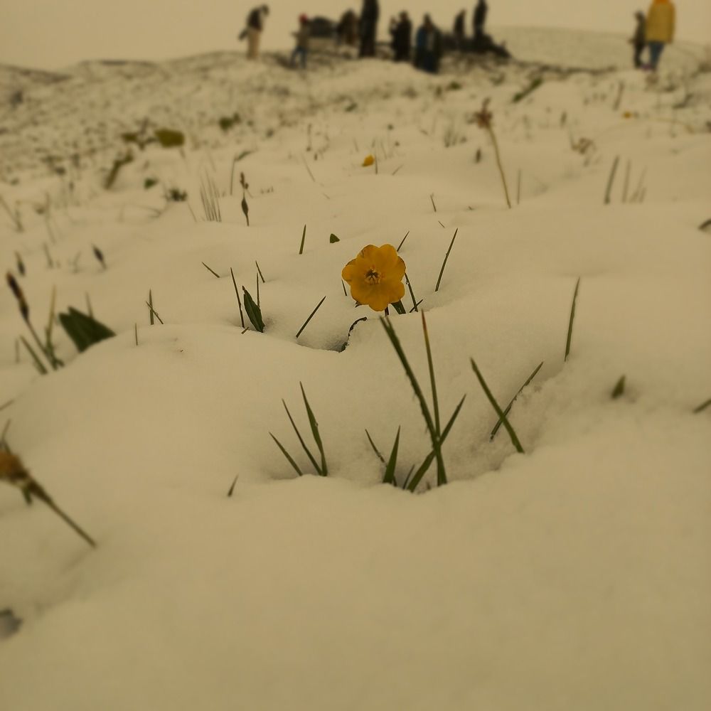 Photograph by Андрей