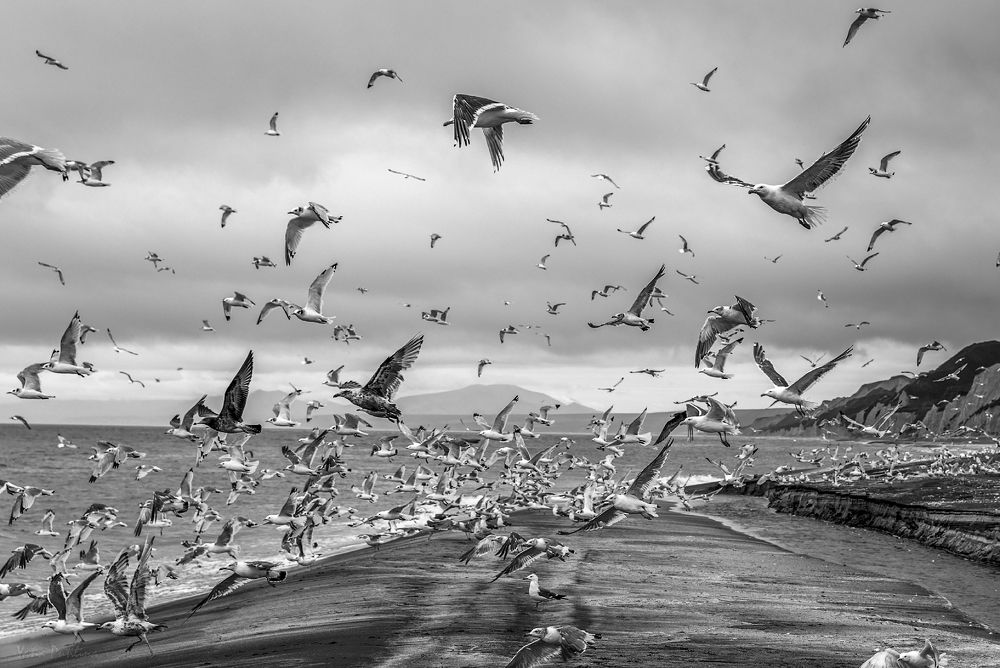 Photograph by Яна Пикулик