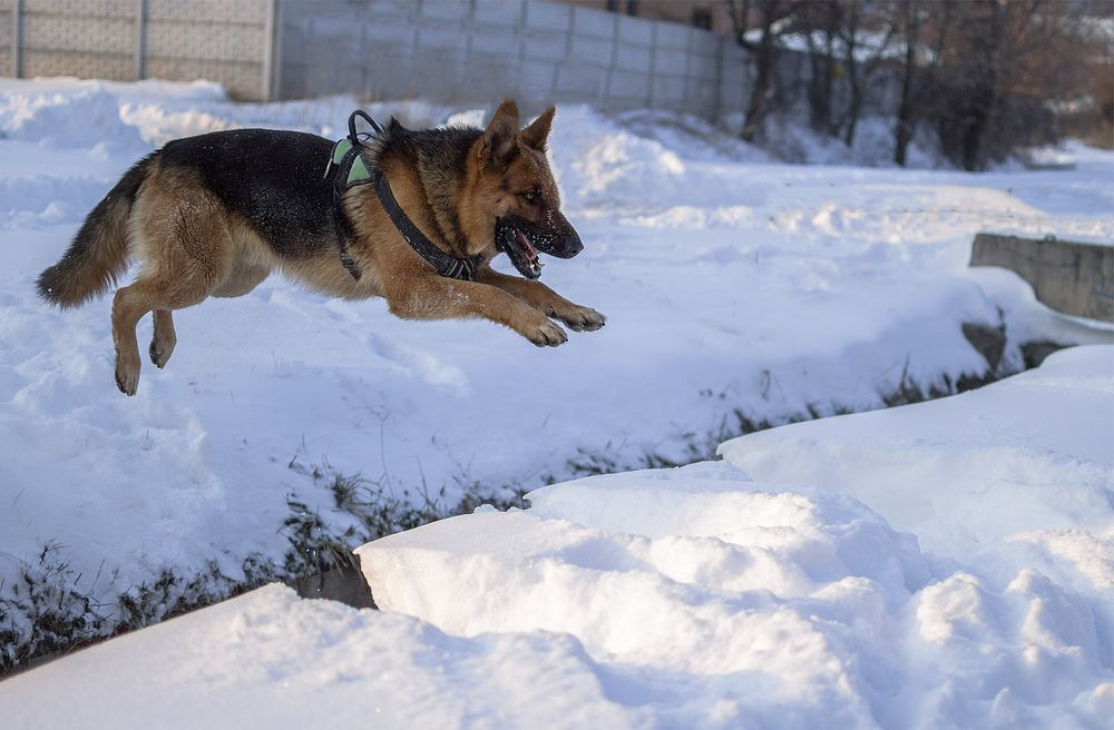 Photograph by Светлана Мельник