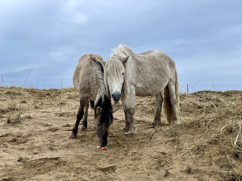 Фотография автора Юлия Шумейко