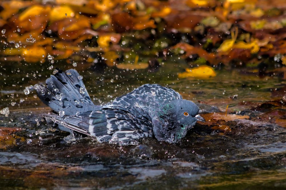 Photograph by Дмитрий Тимин