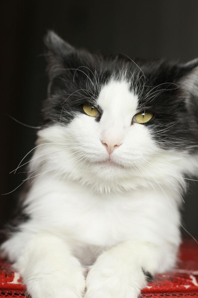 Photograph by Надежда Ржевская