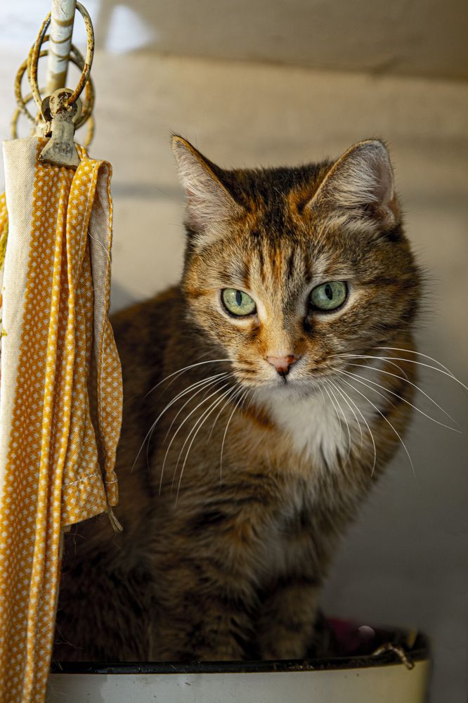 Photograph by Игорь Смирнов