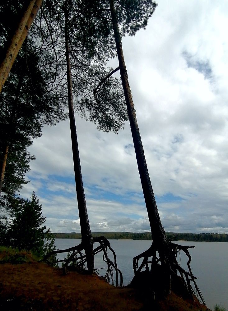 Неповторимая природа Урала