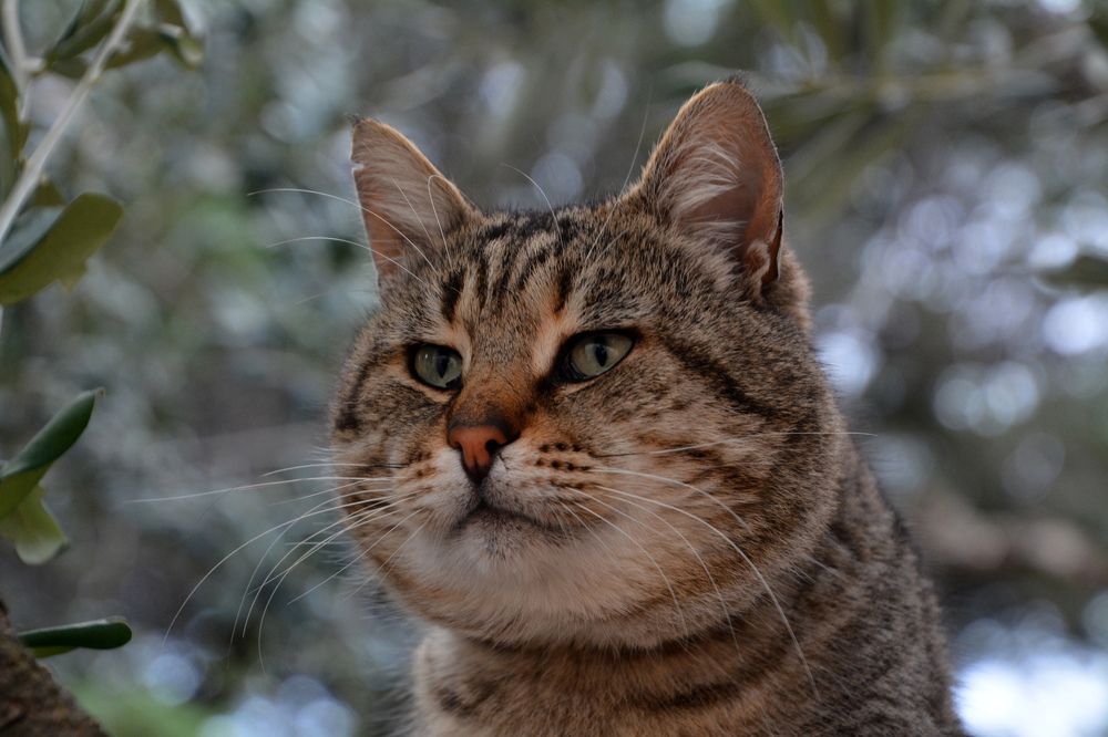 Photograph by Екатерина Крючкова