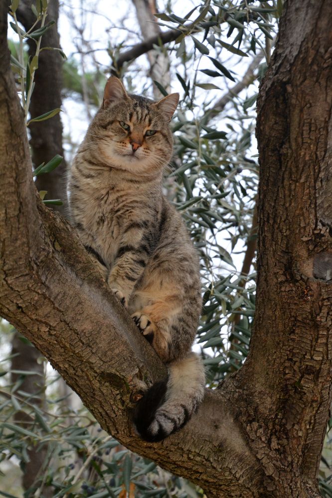 Photograph by Екатерина Крючкова