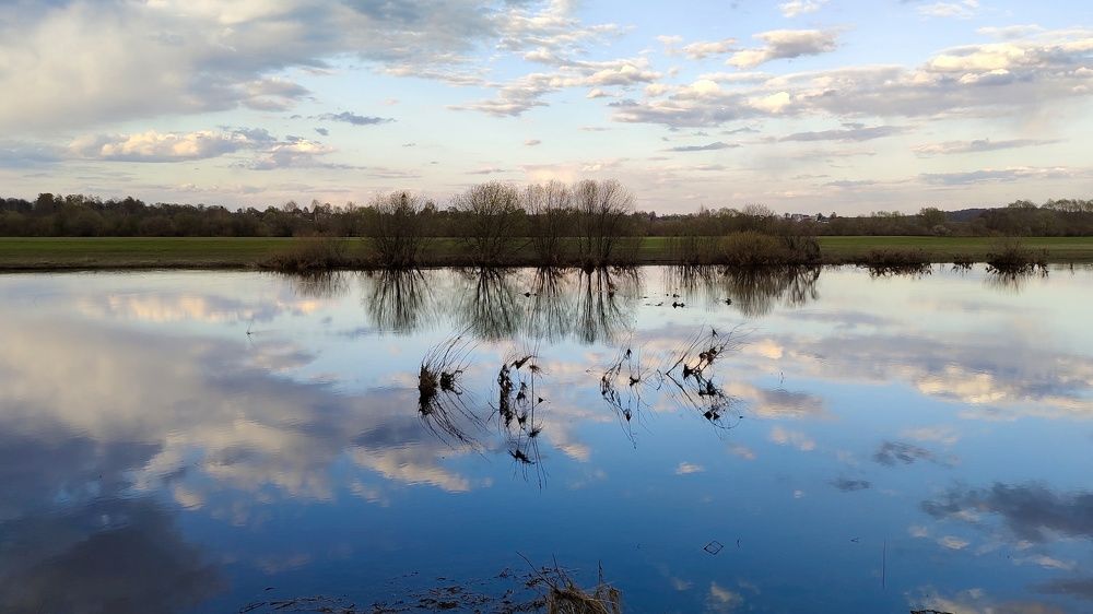 Photograph by Ольга Лысенко (Olga Lysenko)