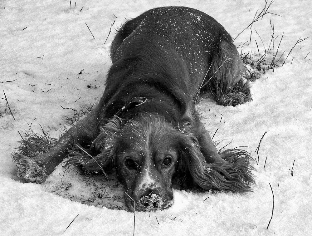 Photograph by Михаил Баевский