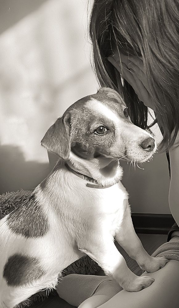 Photograph by Валерия Марцинковская