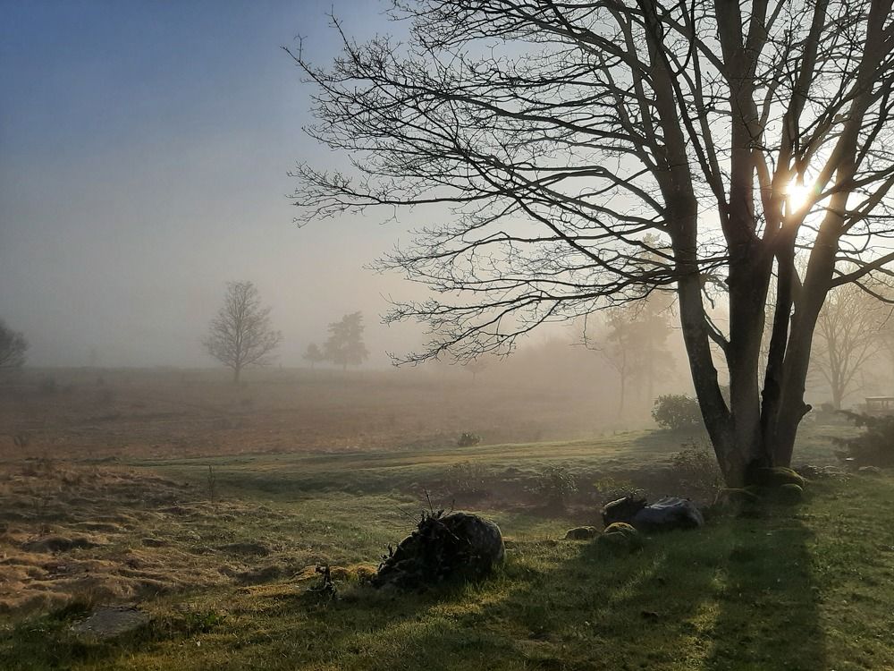 Photo #7618338