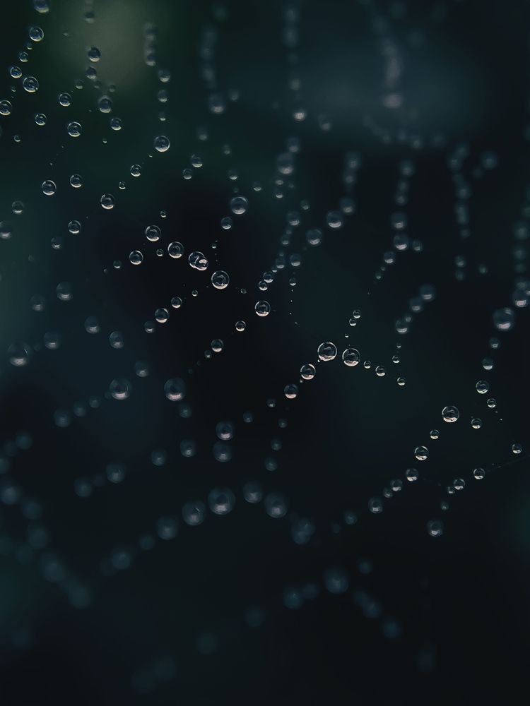 Фотография автора Наталья Алексеева