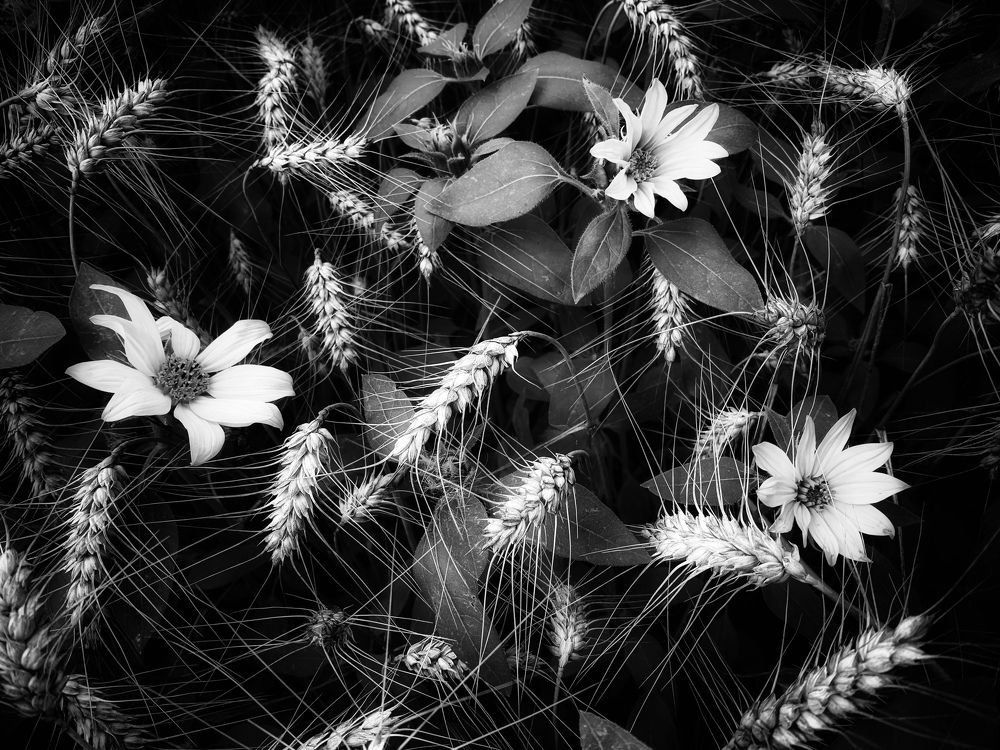 Photograph by Swetlana Lebedev