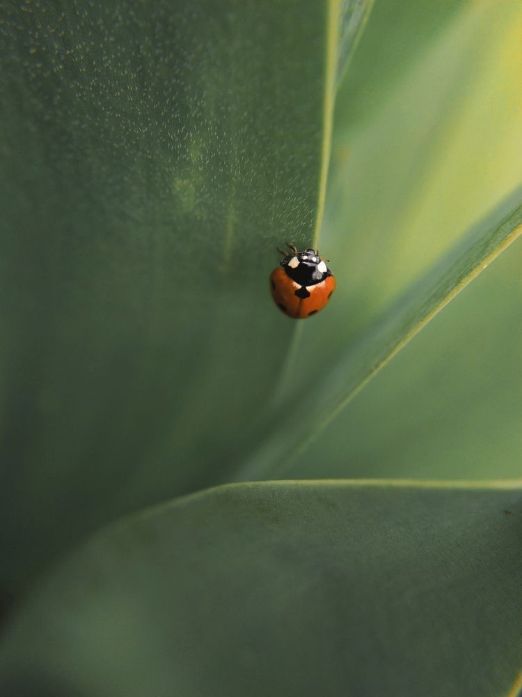 Фотография автора Наталья Алексеева