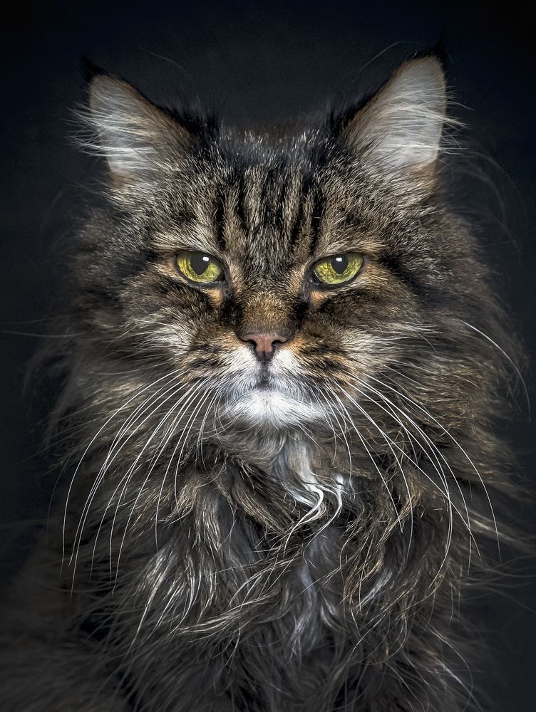 Photograph by Евгений Печенин