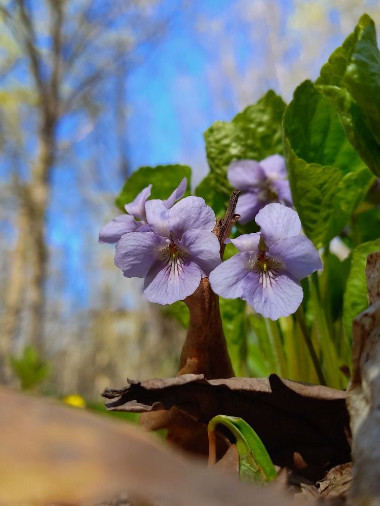 Photograph by Виктория Подрезова
