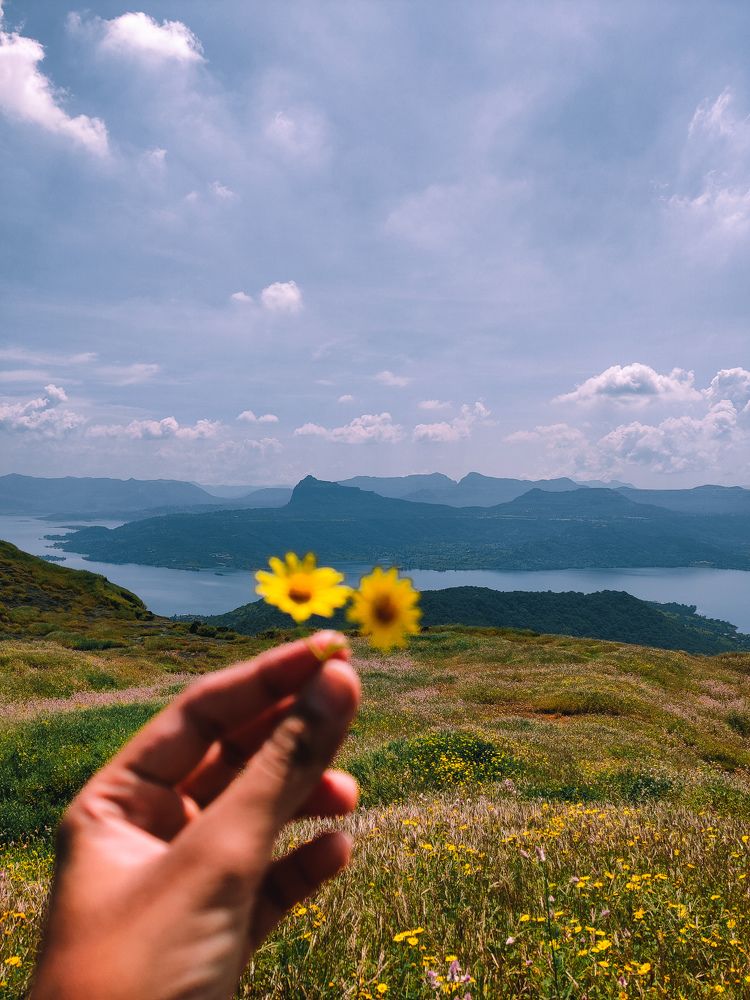 Photograph by Rudra Patel