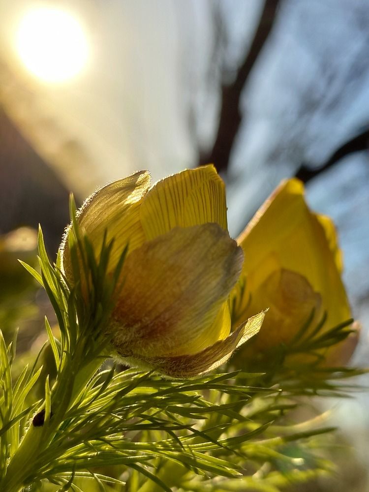 Photograph by Виктория Подрезова