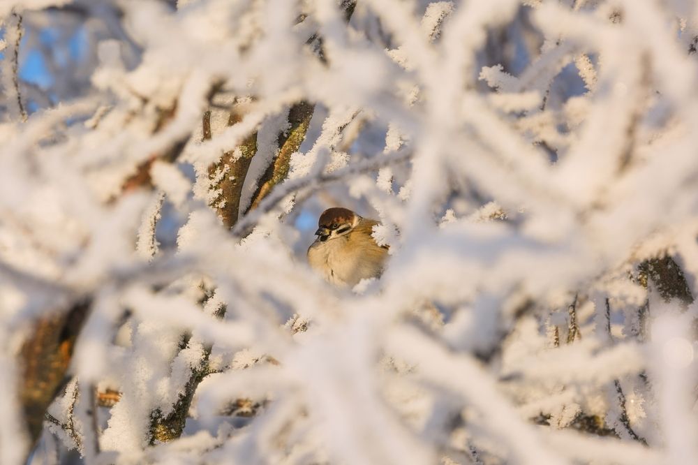 Photograph by  Михаил