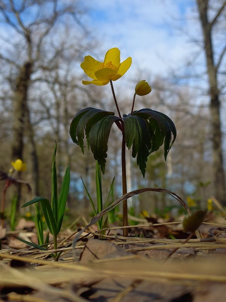 Photograph by Виктория Подрезова