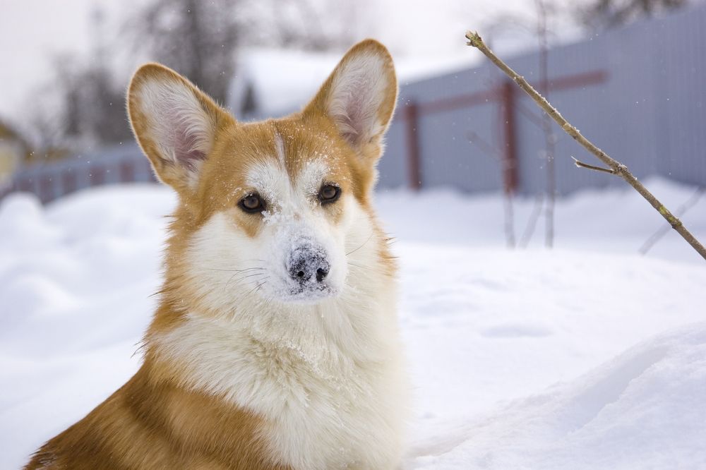 Photograph by Наталья Кирина