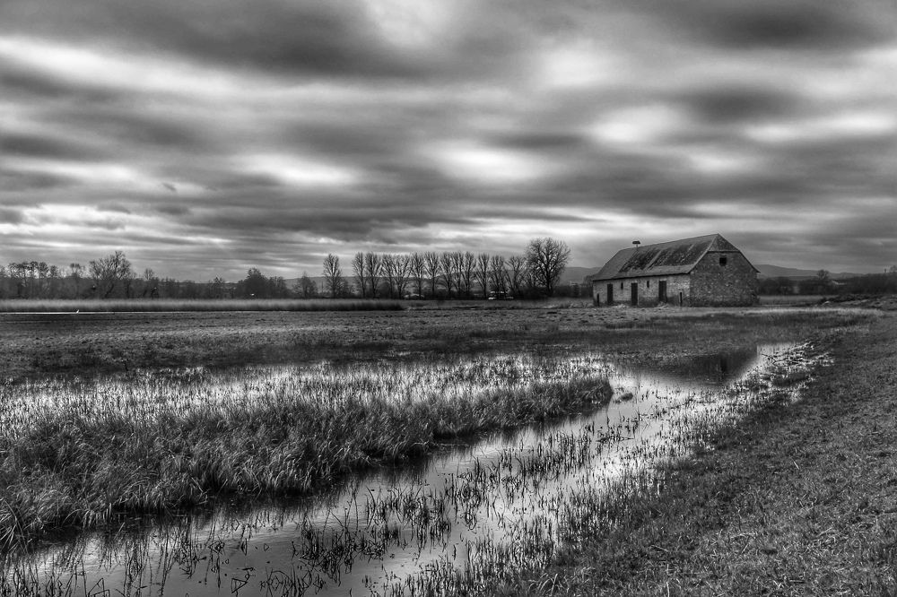 Photograph by Swetlana Lebedev