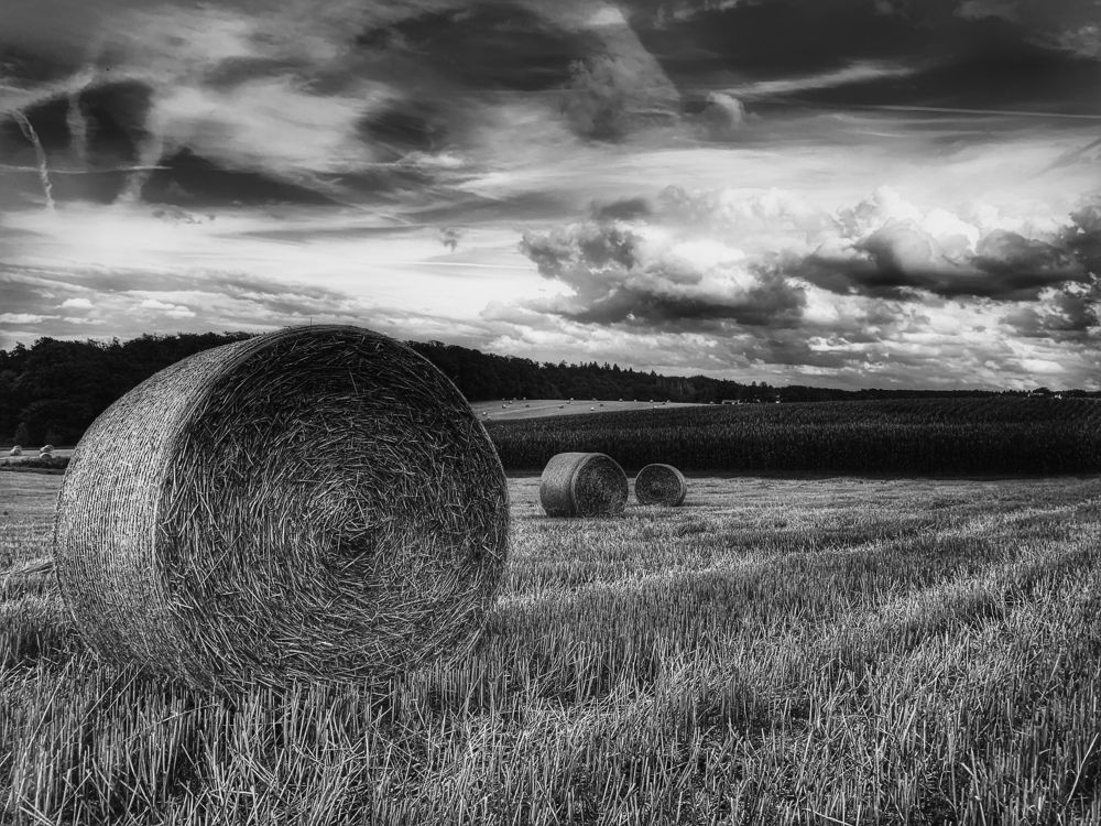 Photograph by Swetlana Lebedev