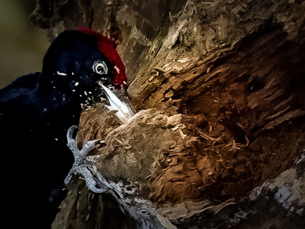 Photograph by Giuseppe Catalano