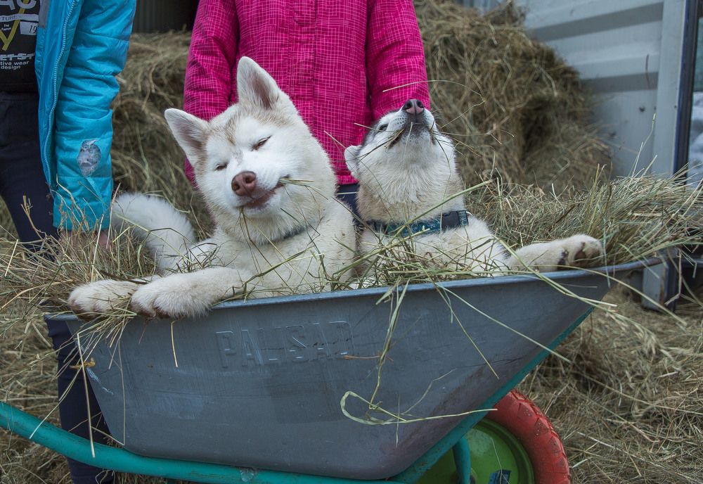 Photograph by владимир
