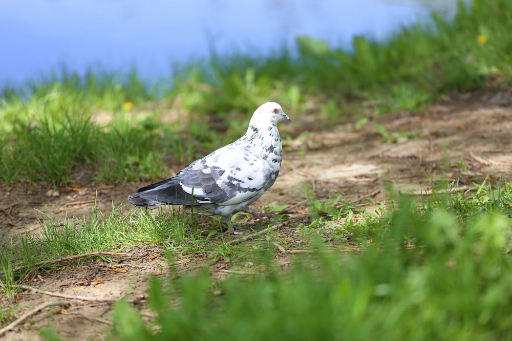 Photograph by Толмачёва Ирина