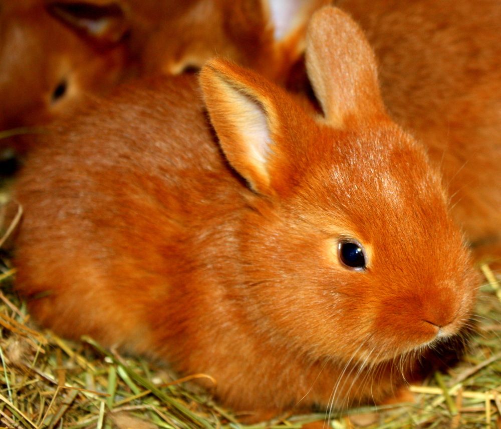 Photograph by Ольга Павлова