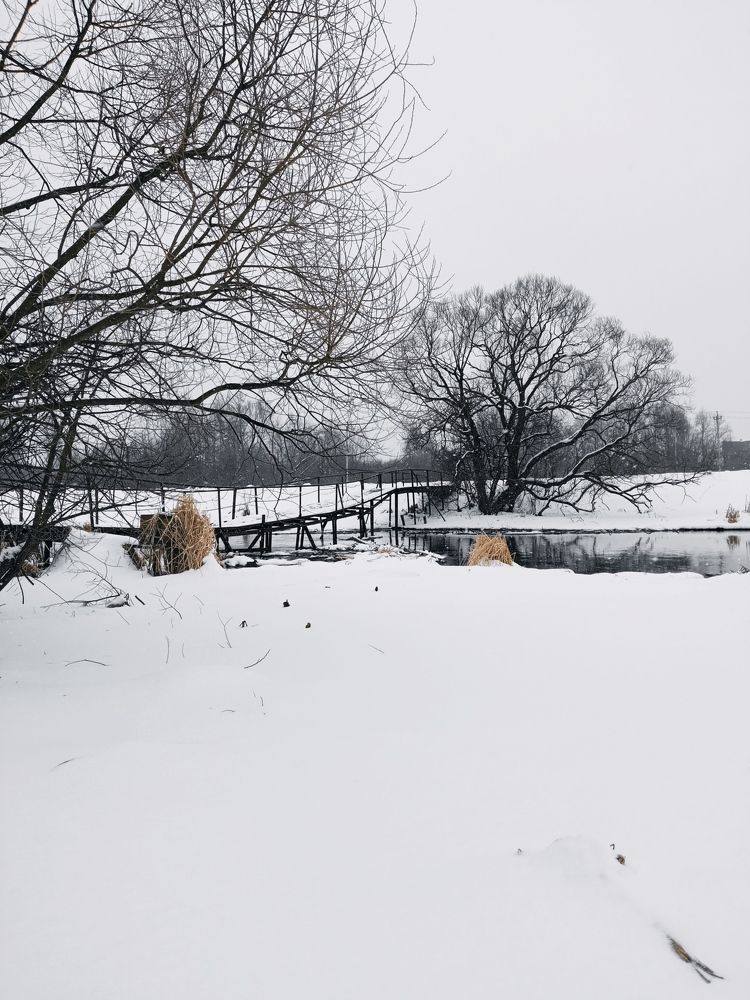 Photo #7618547
