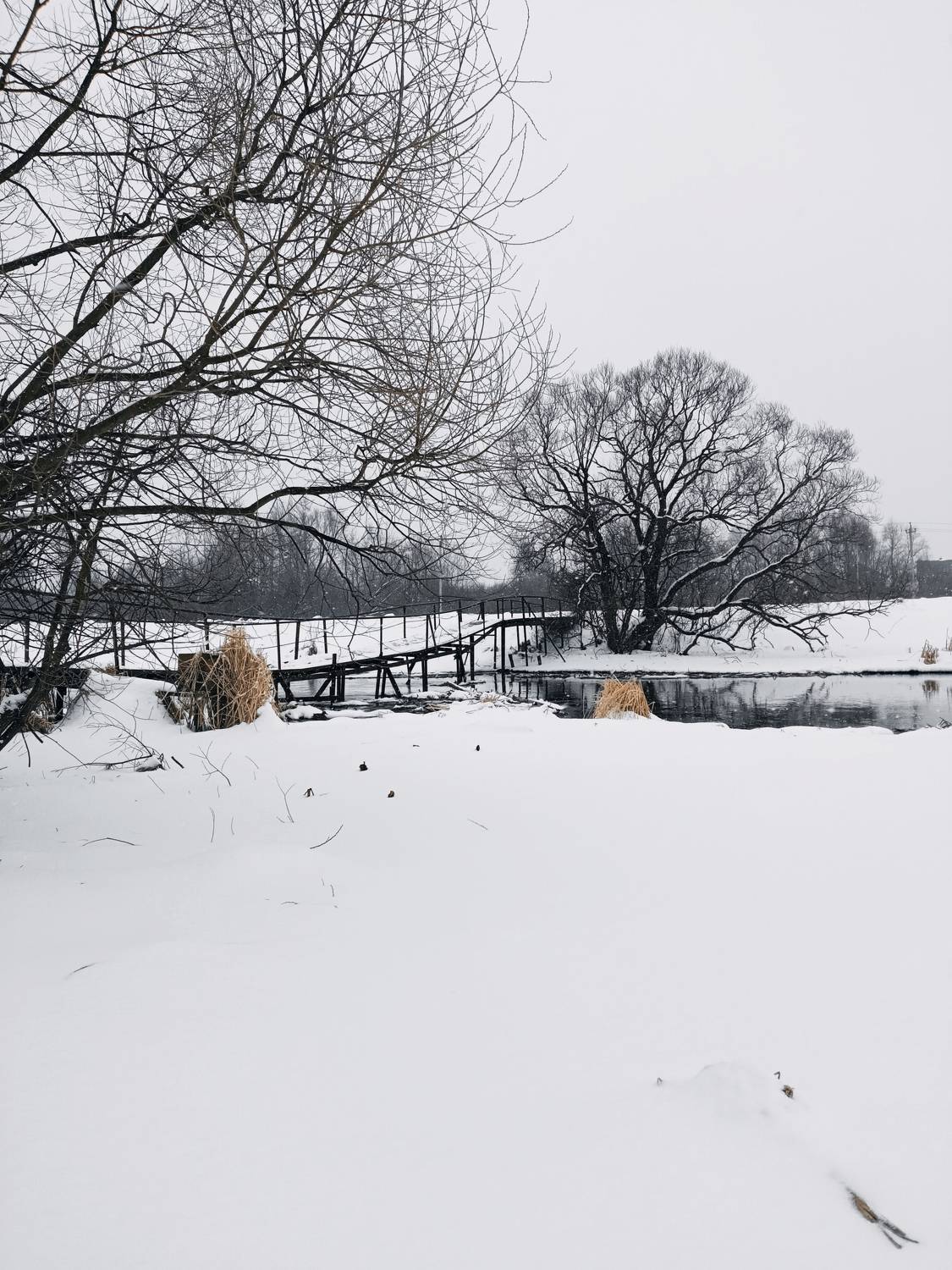 Photo #7618547