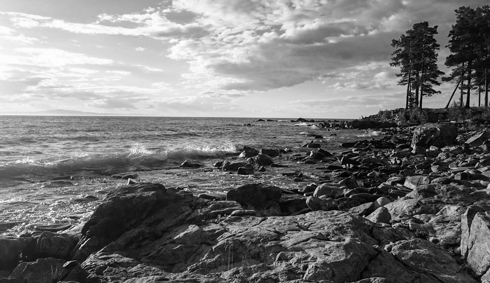 Photograph by Светлана Шелухеева