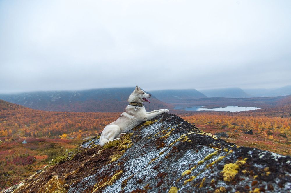 Photograph by владимир