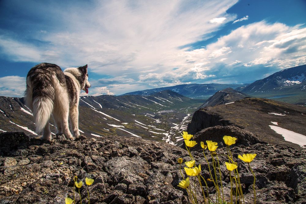 Photograph by владимир