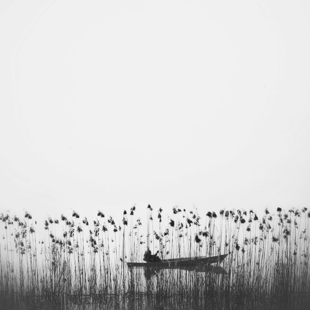 Фотография автора Alireza Bagheri sani