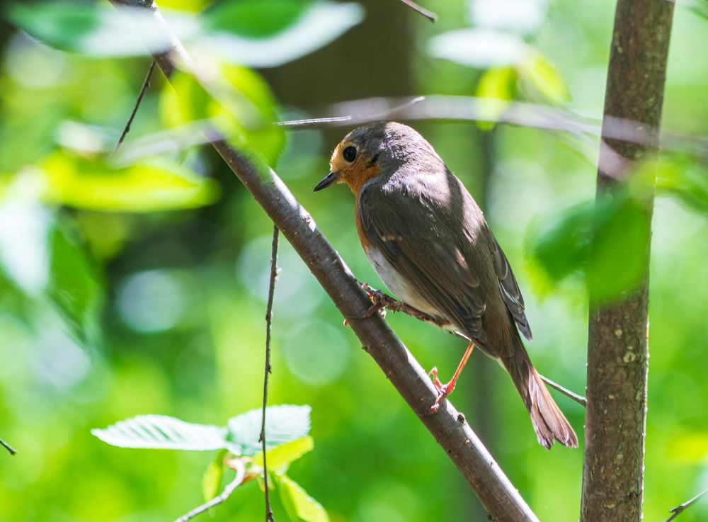 Photograph by Владимир Желтов