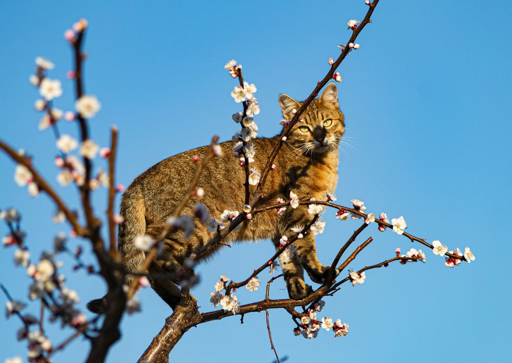 Photograph by Владимир Желтов